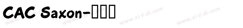 CAC Saxon字体转换